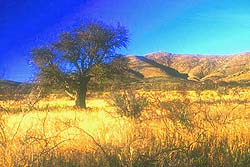 Ambiente Típico de este PN