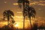 Atardecer sobre el Palmar